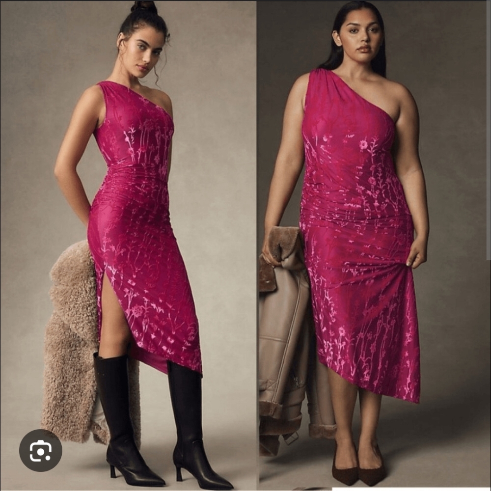 Anthropologie Pink Velvet Floral Dress